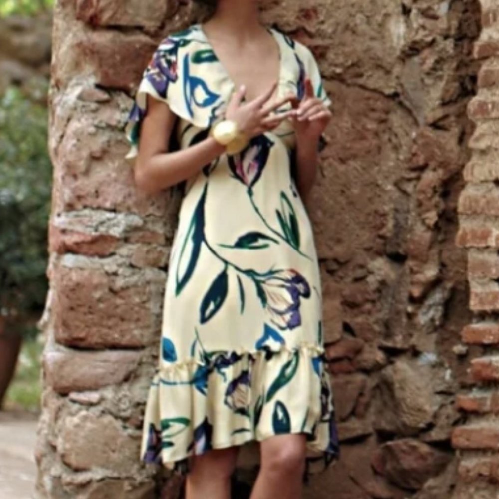 Anthropologie Large Painted Floral Ruffle Cape Dress